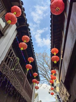 应应晚点见主播照片