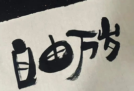 广西壮族姑姑主播照片