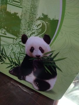 温柔的小漂亮的图片