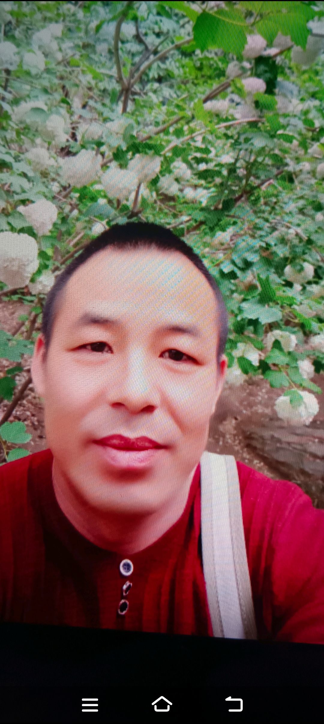 清凉世界g的图片