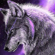 ❤️孤傲🌹战狼的头像