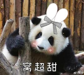 兔仙❤会歌善舞主播照片