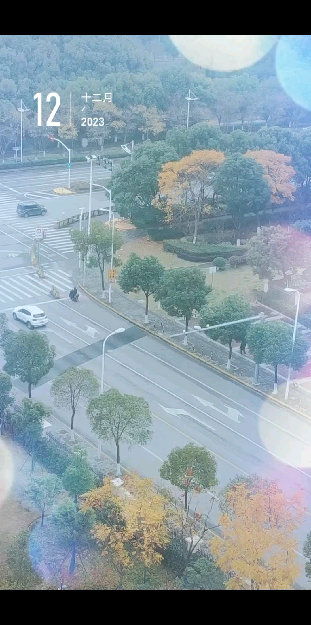 天气转凉注意保暖/狗