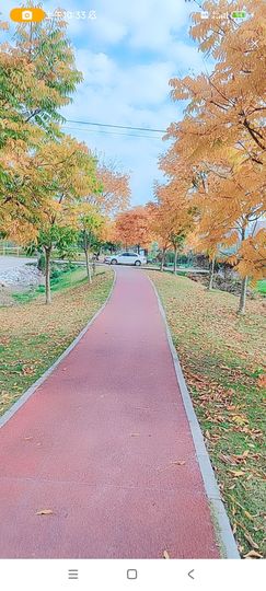 婷婷💕求升级的图片