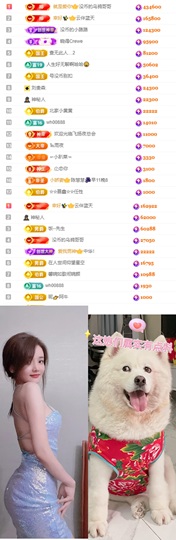 陈慧慧🥕早9晚8的图片