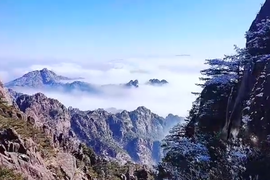 感觉cv主播照片