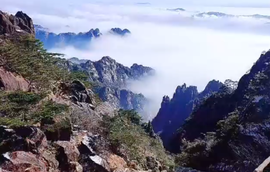 感觉cv主播照片