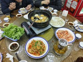 飞鸟与鱼路不同主播照片