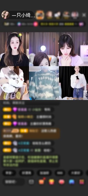 感谢EkinSuen赠送翩若惊鸿1个