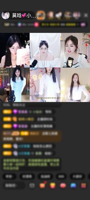 感谢夜黑风高的夜晚赠送翩若惊鸿1个