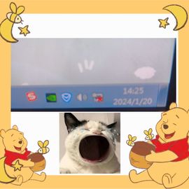 阳阳💕休主播照片