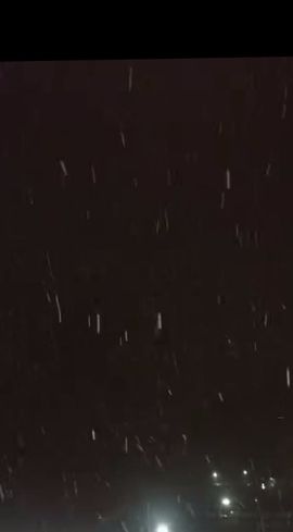 玟玟🌸加油主播照片