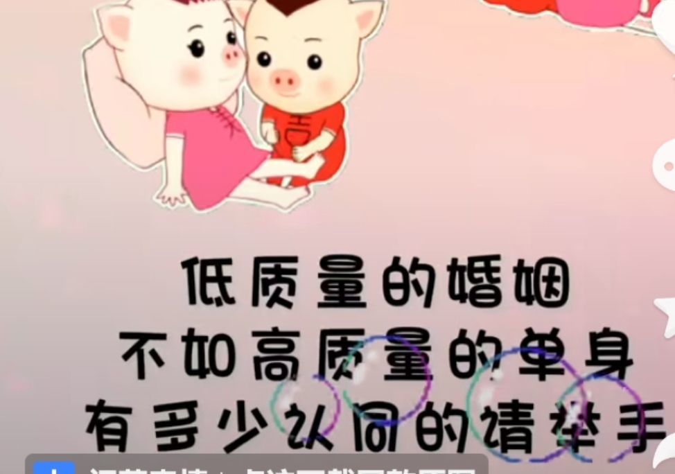 丑小鸭💞愿有一束光的图片