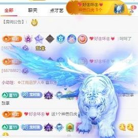 五十次风速主播照片
