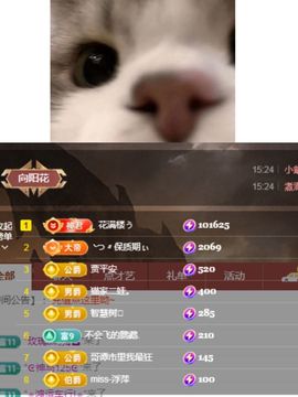 阳阳💕休主播照片