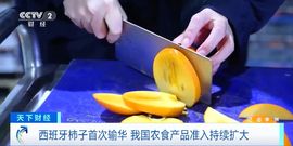 （杨）今天来碗面条主播照片