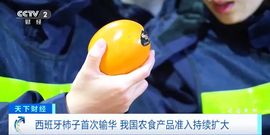 （杨）今天来碗面条主播照片