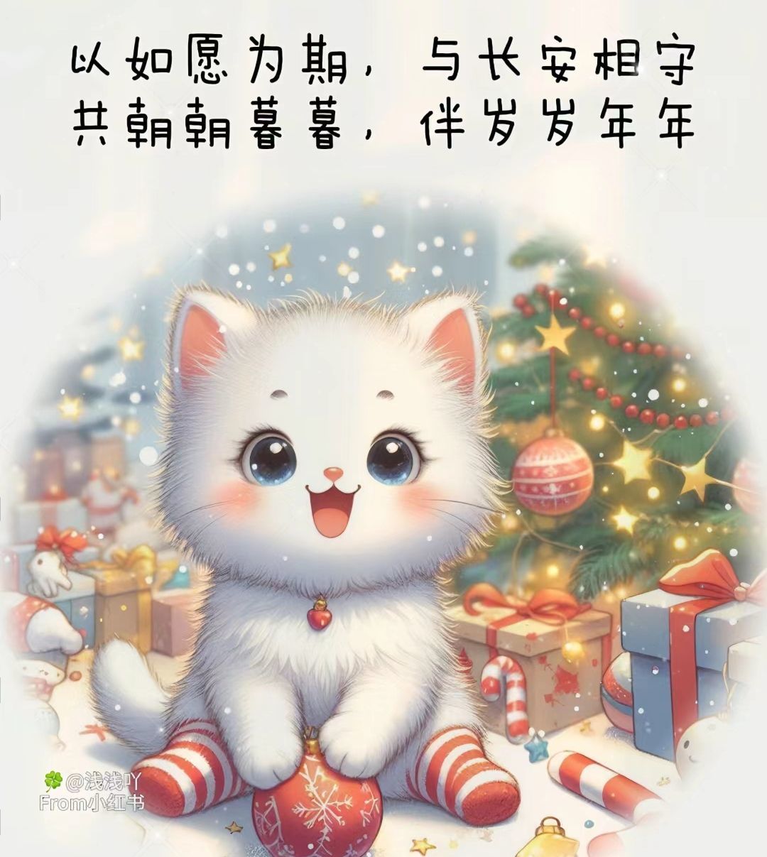 丑小鸭💞愿有一束光的图片