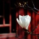 昵称违规，请重新修改