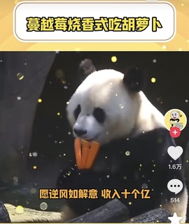 ღ柳柒柒唱歌主播主播照片