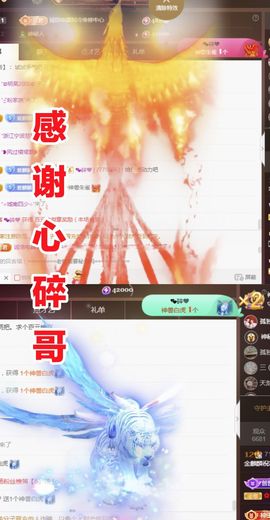 金麒麟安静唱歌🎤的图片