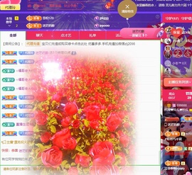 金牌代理❤玲儿❤主播照片