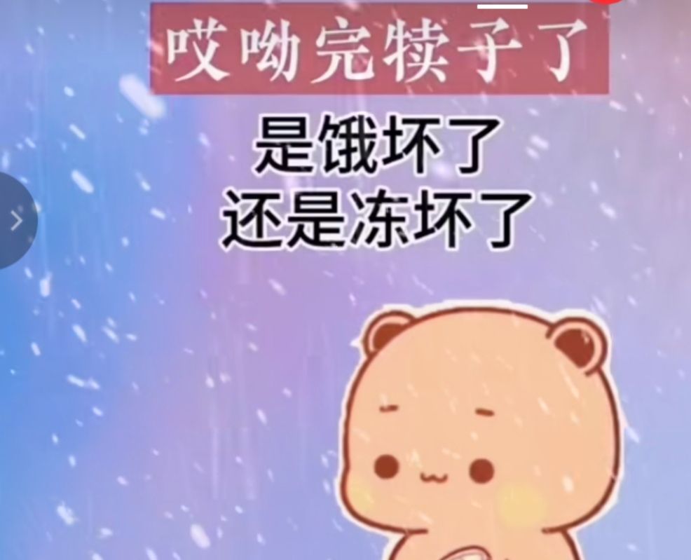 丑小鸭💞愿有一束光的图片
