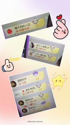 海鸽晚上见主播照片