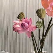 捡垃圾给华子刷