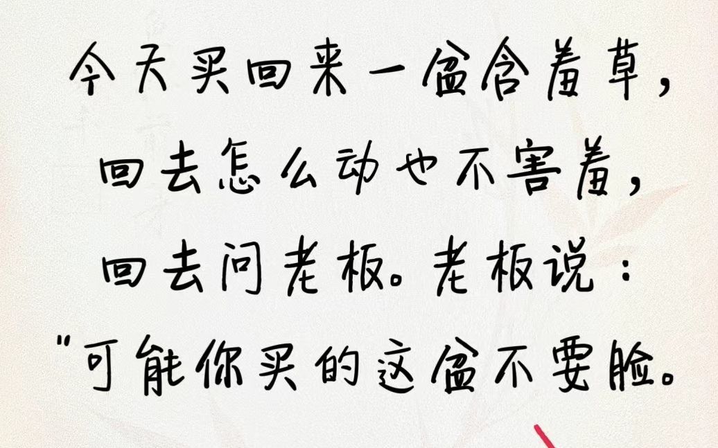 丑小鸭💞愿有一束光的图片