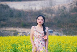 怎么才能让你看到我呢的图片