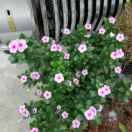 好人一生平安8cj的头像