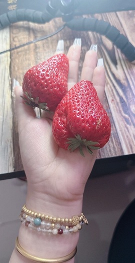 娜儿一个没才没艺的主播照片
