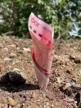 娜儿一个没才没艺的主播照片