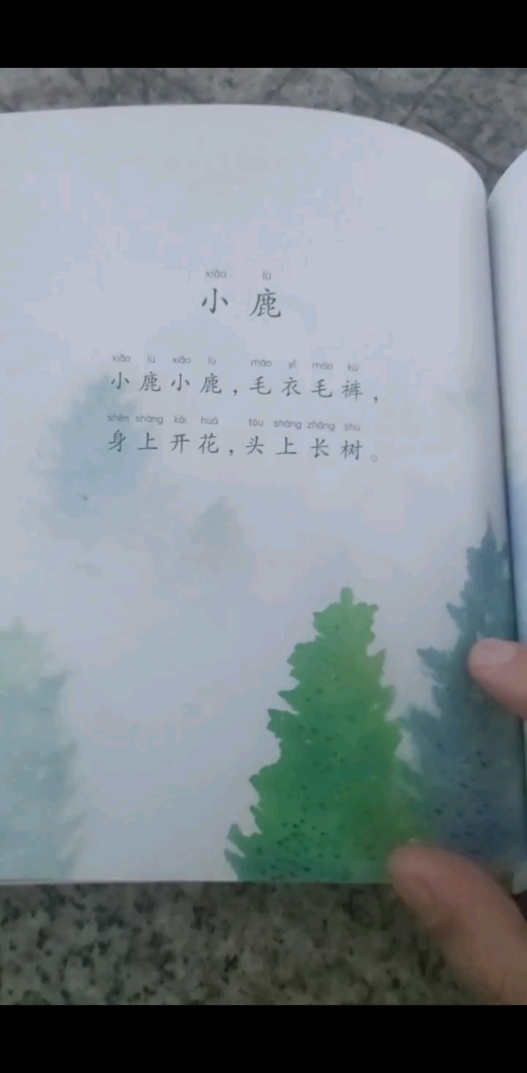 小鹿