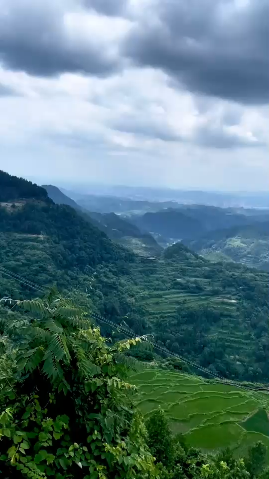 我见青山多妩媚 料青