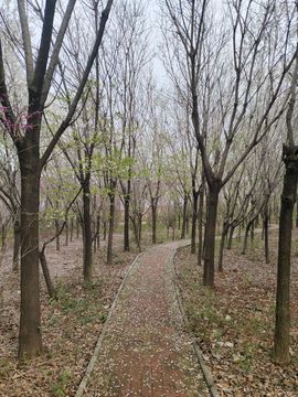 小芳，🌸减肥打卡主播照片