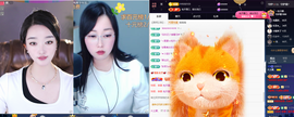 窦窦，家里有事休息了主播照片