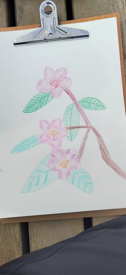 钟铃tina主播照片