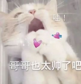 🍬。的图片