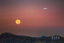 2025不好过主播照片