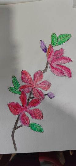钟铃tina主播照片