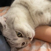 暴富8888