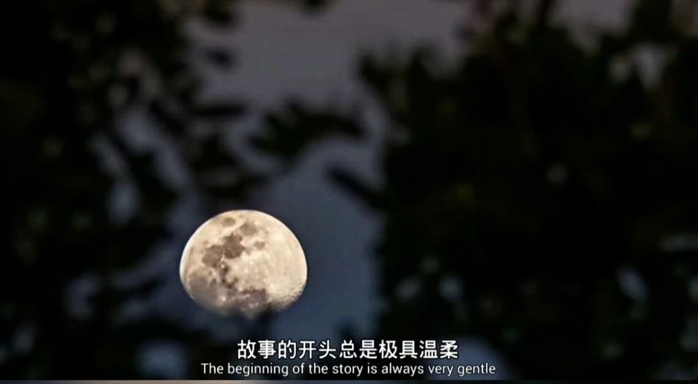 洋子～的图片