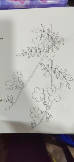 钟铃tina主播照片