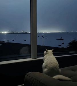 Ay❄️歌主播照片