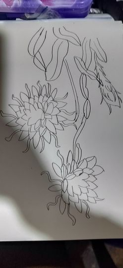 钟铃tina主播照片