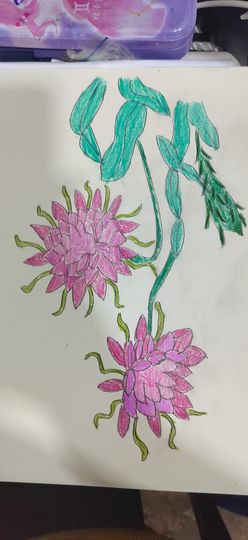 钟铃tina主播照片