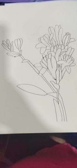 钟铃tina主播照片