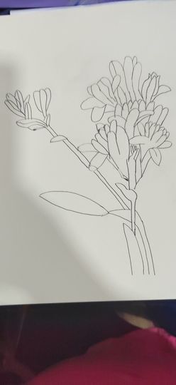 钟铃tina主播照片